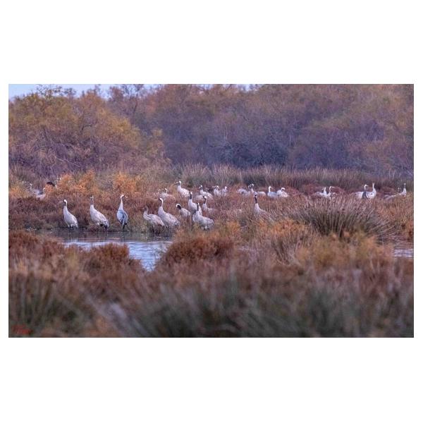 PHOTO84, CLUB, 84 , LUBERON